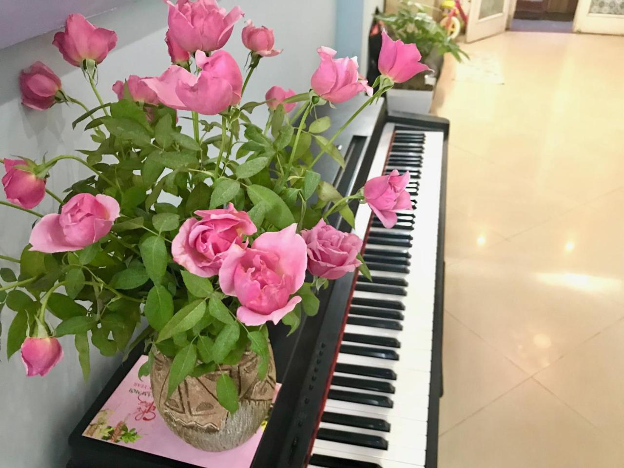 The Rose Home Hanoi Zewnętrze zdjęcie