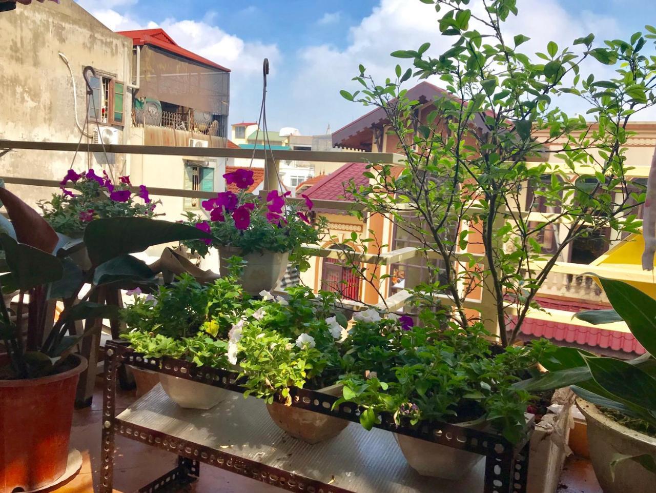 The Rose Home Hanoi Zewnętrze zdjęcie